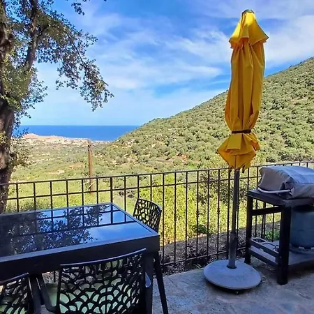 U Sorbu - T2 Avec Terrasse Apartment *